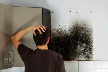 Mold Assessment and Remediation